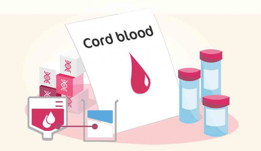 An illustration of a blood sample with the word cord blood.