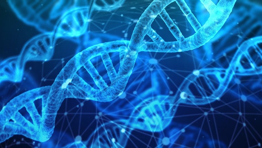 A blue background with dna strands.