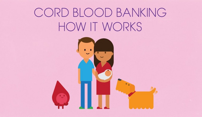 Cord blood banking how it works.