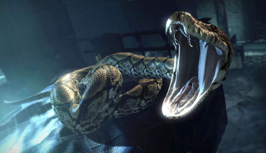 A snake with its mouth open in a dark room.