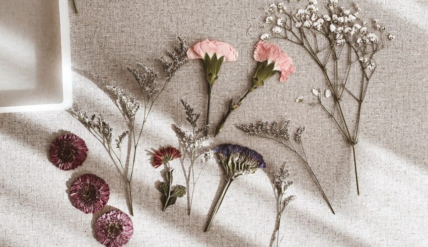 A bunch of dried flowers on a table.