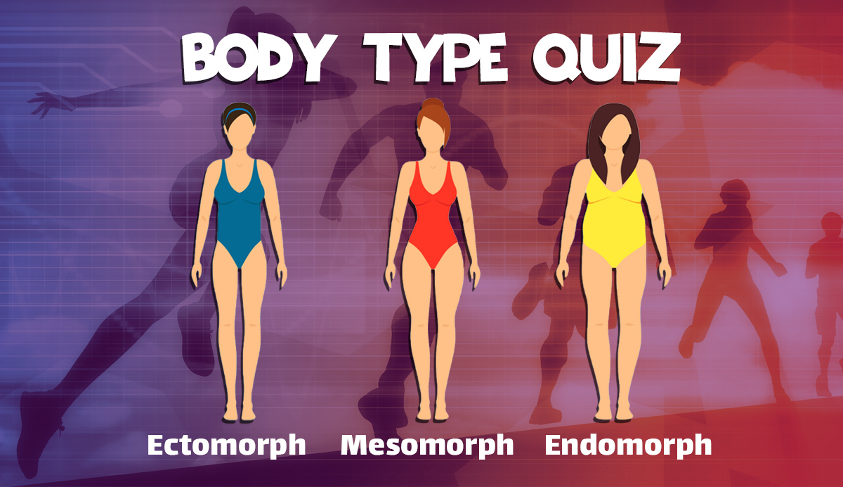 Endomorph, Mesomorph, Or Ectomorph? (The 3 Body Types)