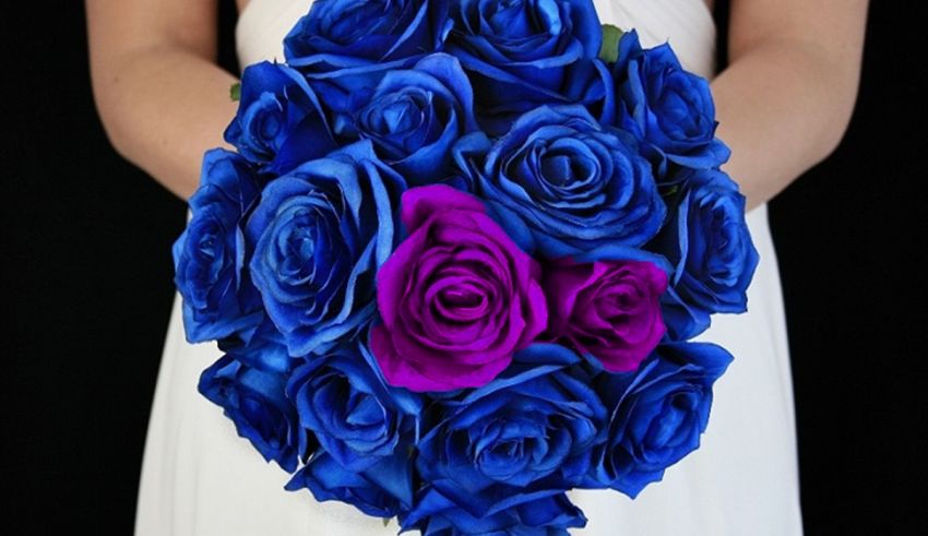 A bride holds a bouquet of blue and purple roses.