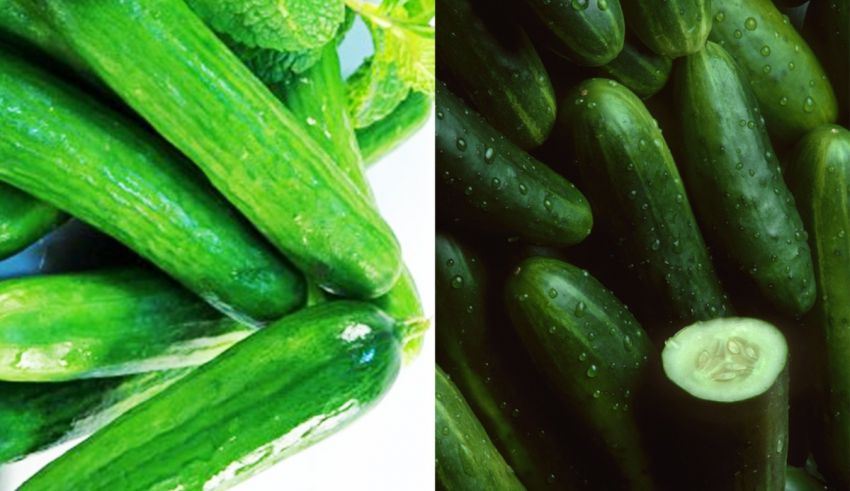 Two pictures of cucumbers, one with a slice and the other with a whole cucumber.