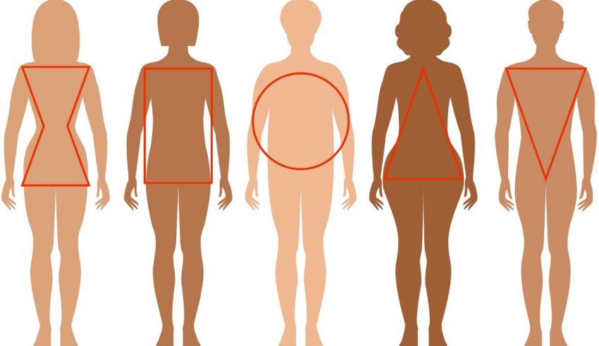 A woman's body is shown in different shapes and sizes.