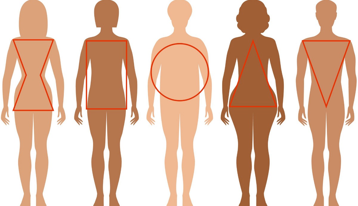 Discover What Your Body Shape Reveals About Your Health – 20 Fit