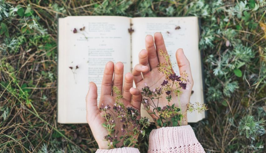 A woman's hands holding a book in the grass.