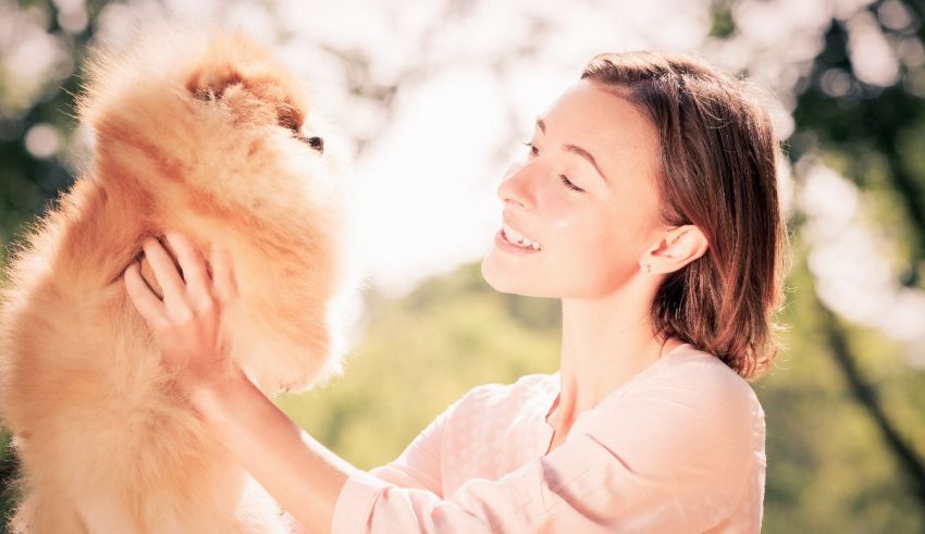 A woman is holding a small pomeranian dog.