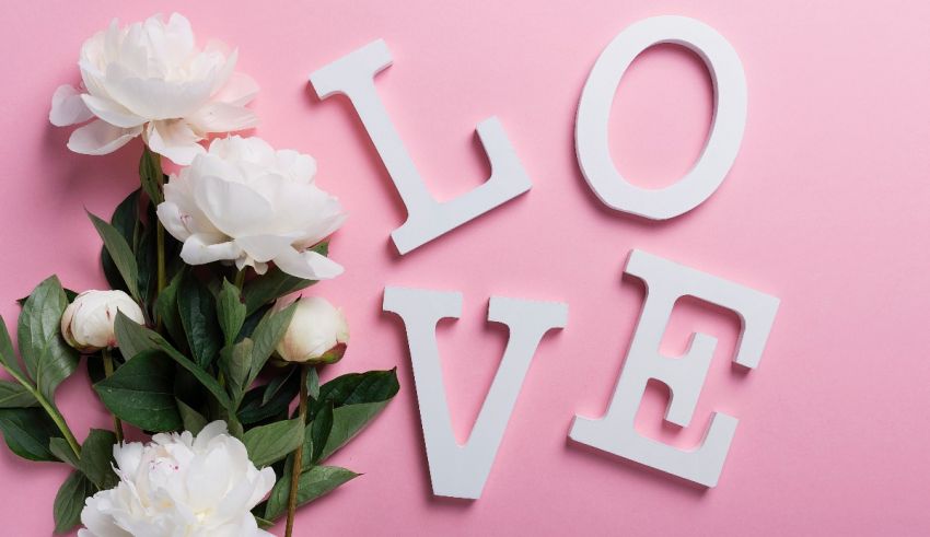 White peonies and the word love on a pink background.