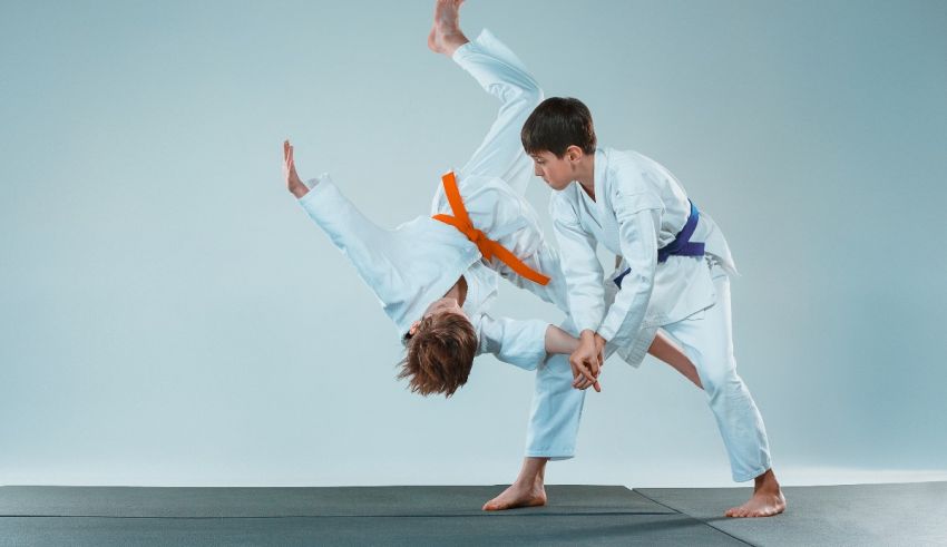 Two young men doing karate on a gray background.