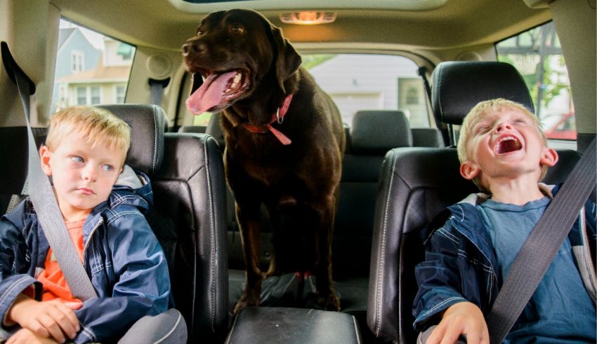Two boys and a dog sitting in the back seat of a car.