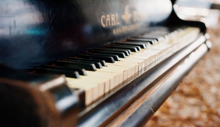 A close up of a black piano with leaves on it.