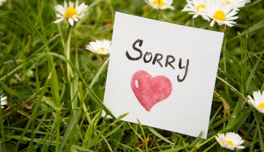 A piece of paper with the word sorry on it in the grass.