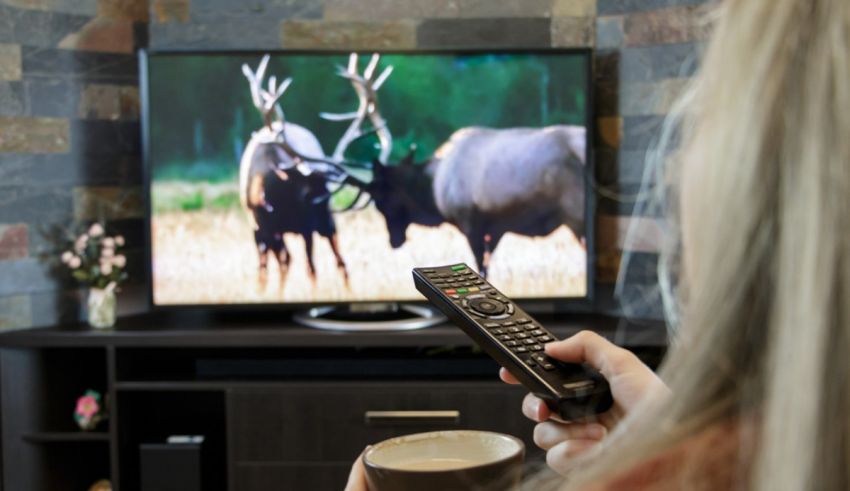 A woman is holding a remote to a tv with an elk on it.