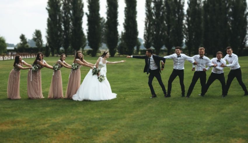 A group of bridesmaids and groomsmen standing in a field.