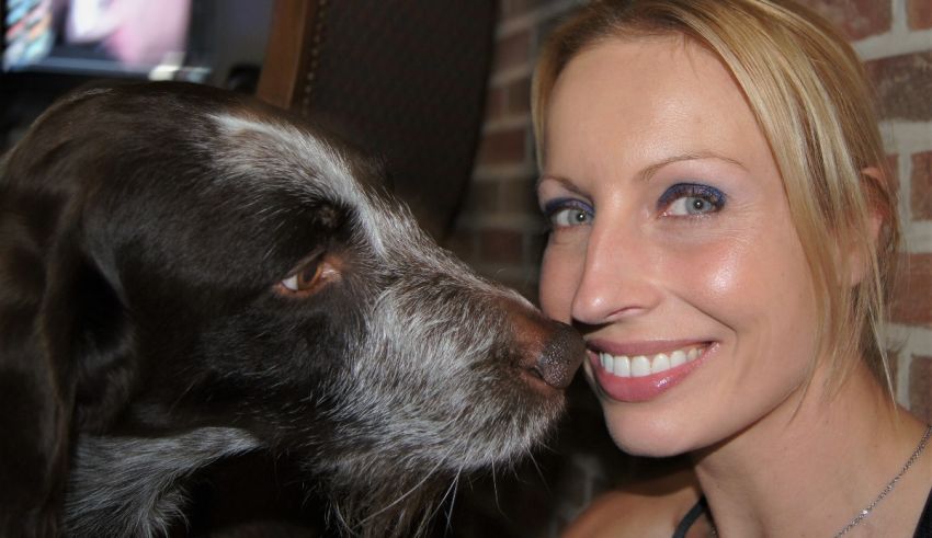 A woman is petting a dog in front of a brick wall.