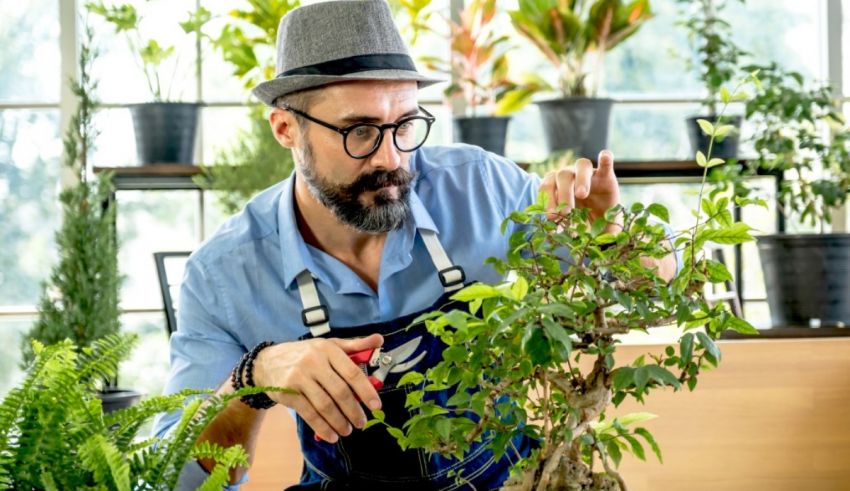 A man in a hat is working on a bonsai tree.