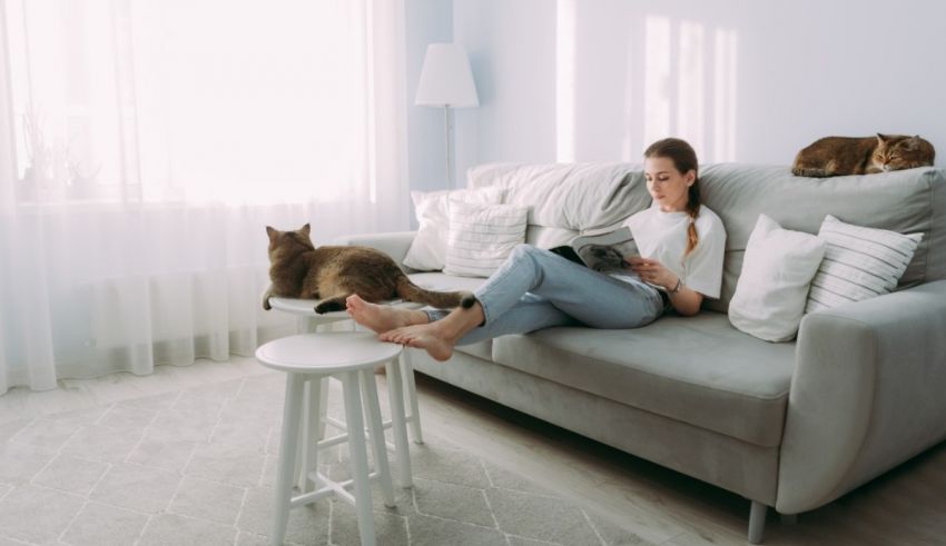 A woman is sitting on a couch reading a book with her cats.