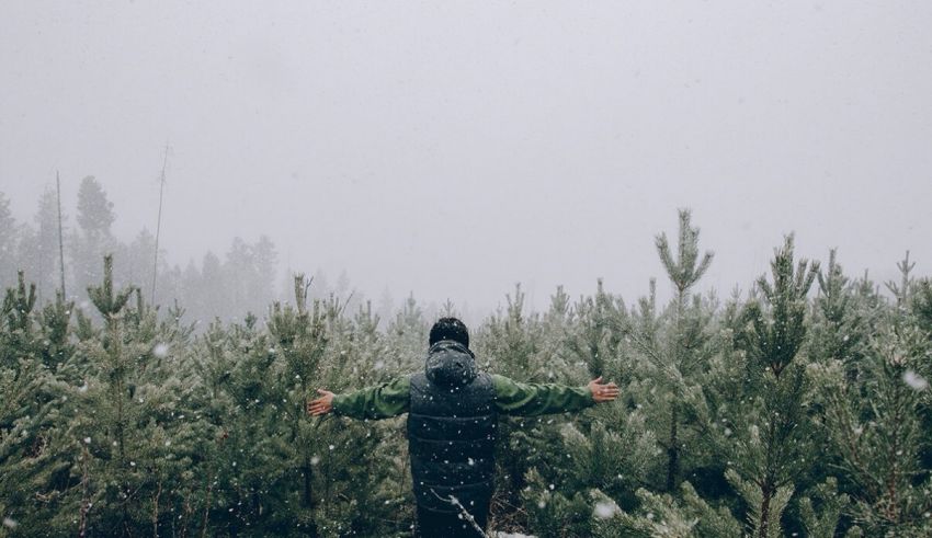 A person standing in a snowy forest with his arms outstretched.