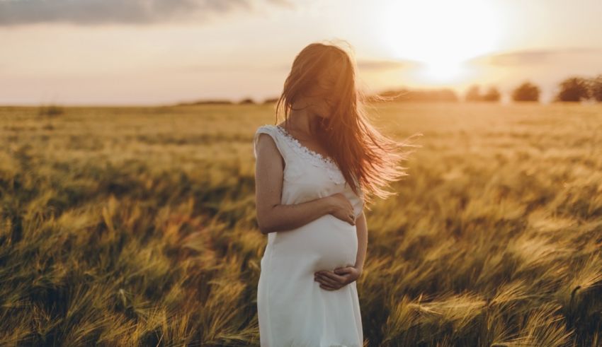 A pregnant woman standing in a wheat field at sunset.