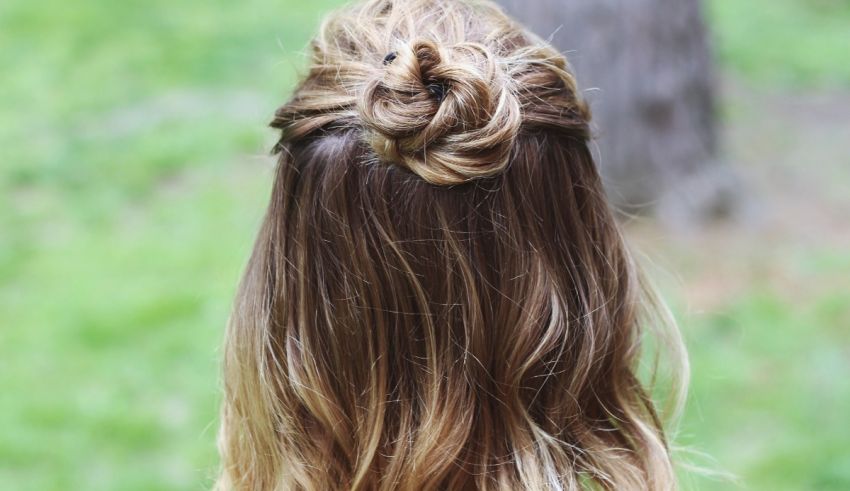 The back view of a woman's hair in a bun.