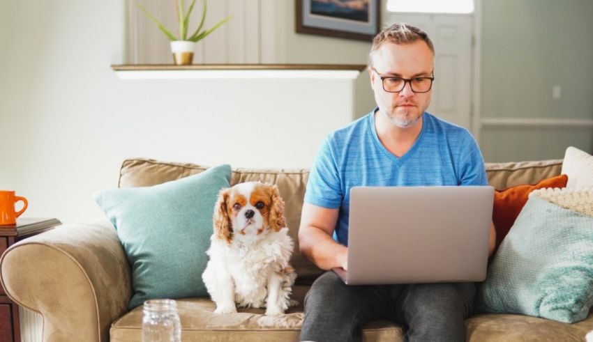 A man using a laptop while sitting on a couch with his dog.