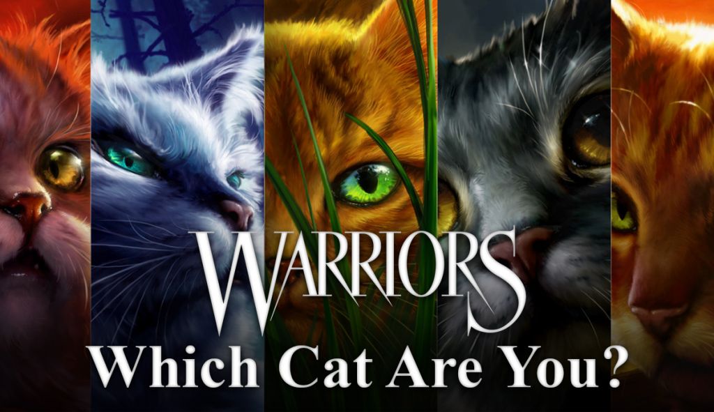 anime warrior cats kits