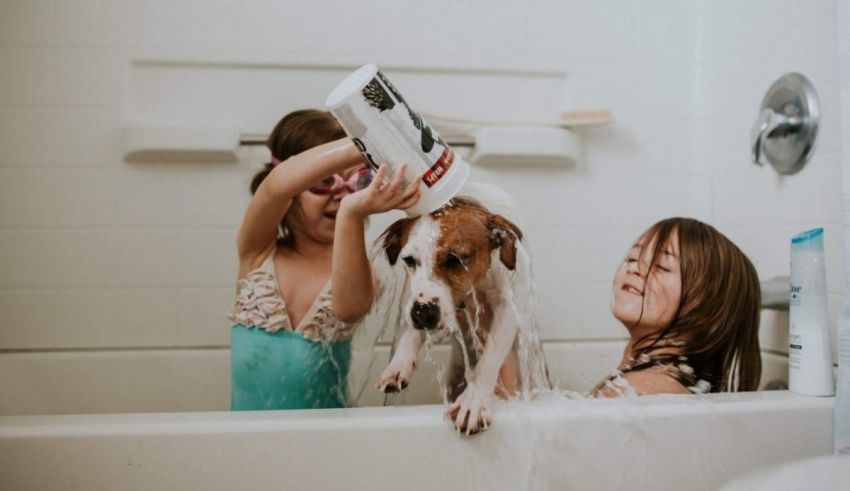 A dog is being bathed by two girls in a bathtub.