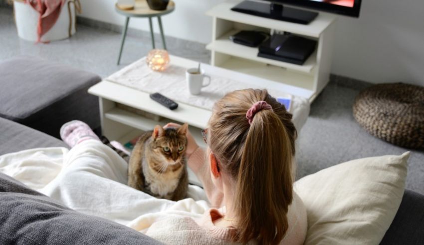 A woman sitting on a couch watching tv with her cat.