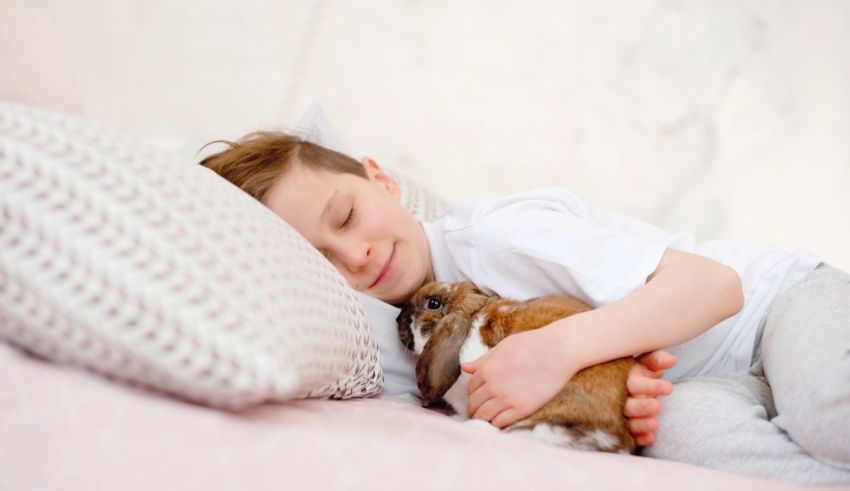 A young boy laying on a bed with a rabbit.
