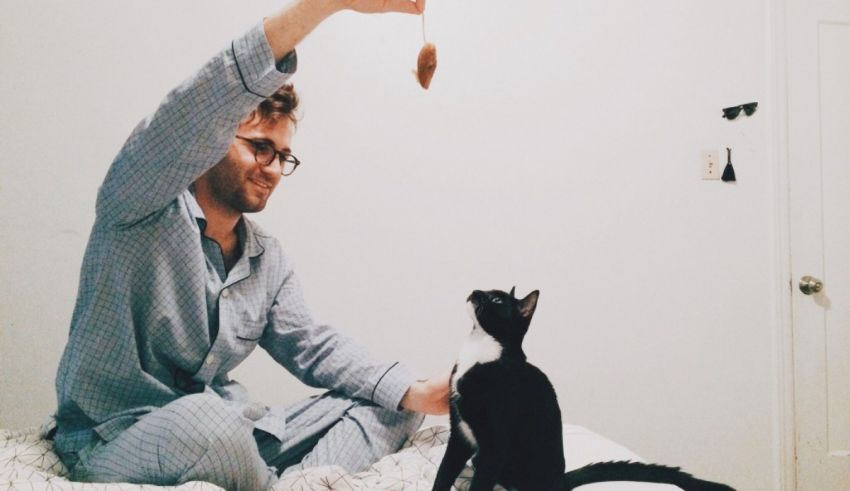 A man playing with a cat on a bed.