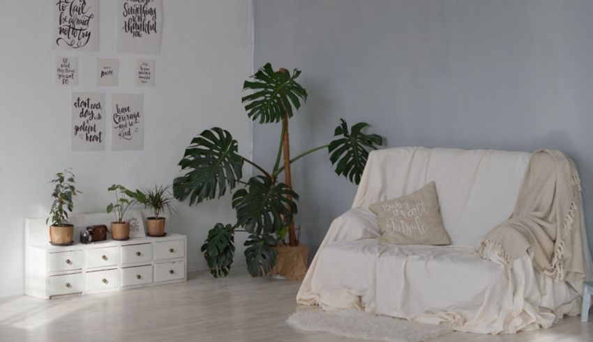 A white couch in a room with plants.