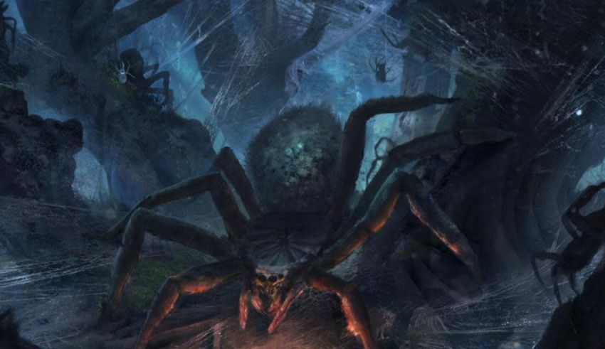 An illustration of a spider in a dark forest.