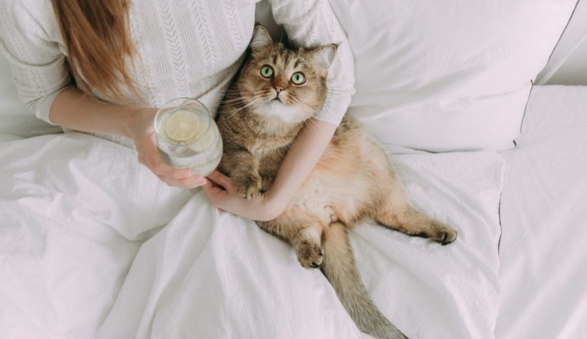 A woman sitting in bed with a cat holding a glass of water.