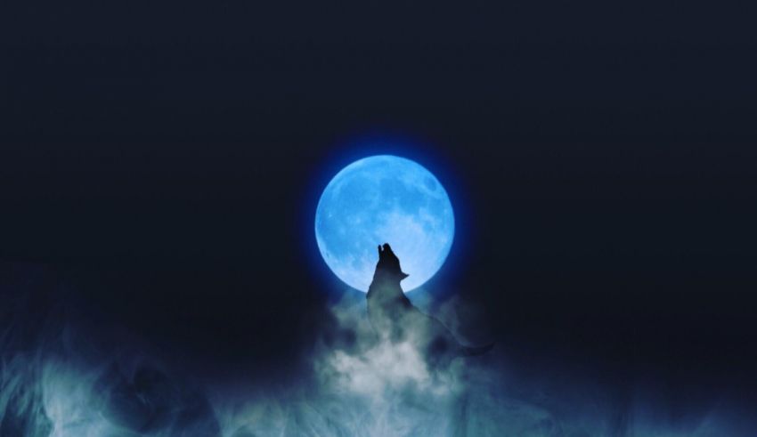 A wolf howling at the moon.