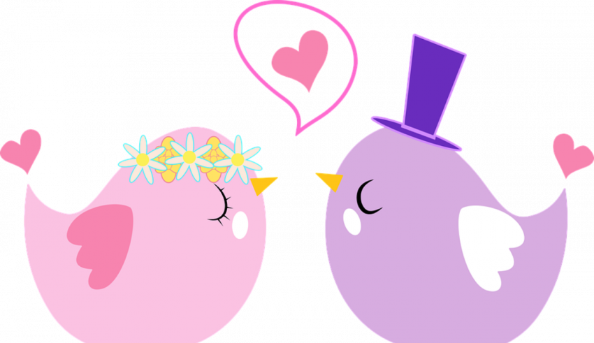 A pair of birds with hearts on their heads.