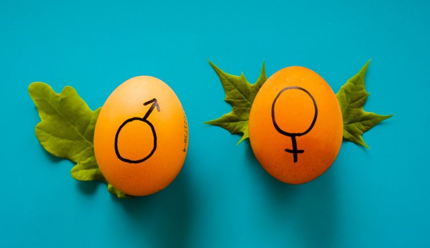 Two eggs with a male and female symbol on them.