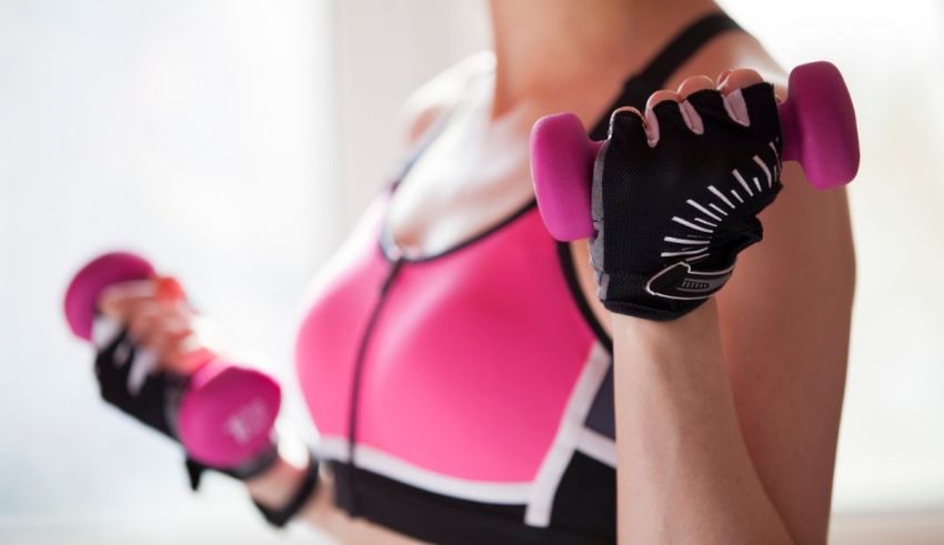 A woman is holding pink dumbbells in front of a window.