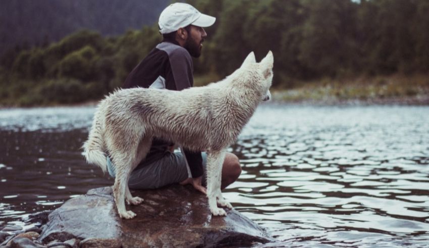 A man sits on a rock next to a river with his dog.