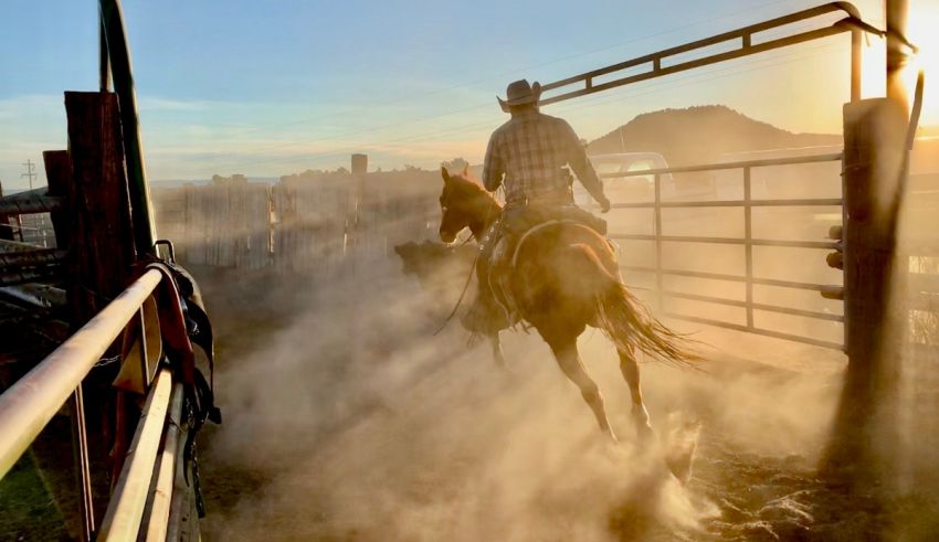 A cowboy riding a horse in a dusty arena.