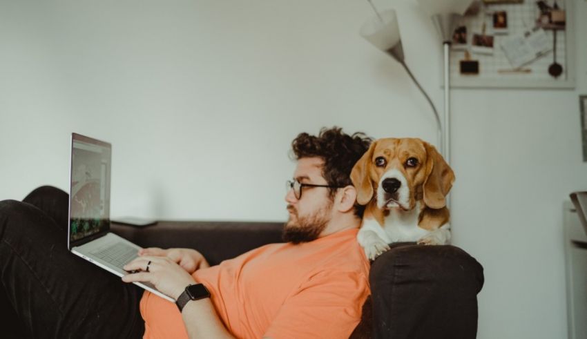 A man sitting on a couch with a dog on his lap.