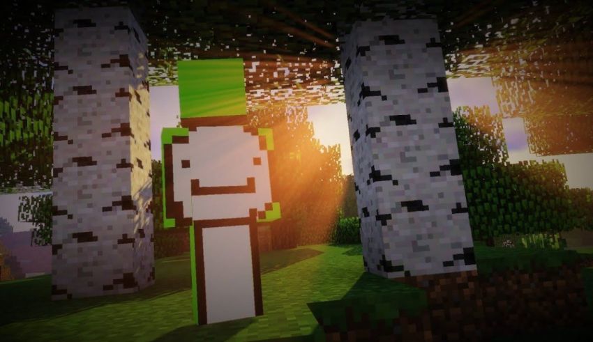 A pixelated image of a minecraft character standing in front of trees.