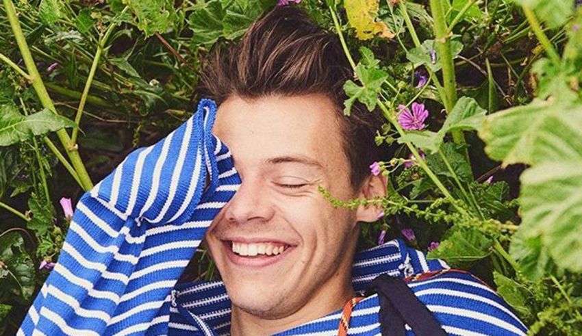 A man in a striped shirt laying in a field of flowers.