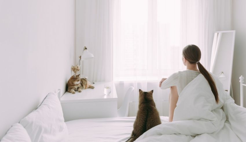 A woman is sitting on a bed with a cat.