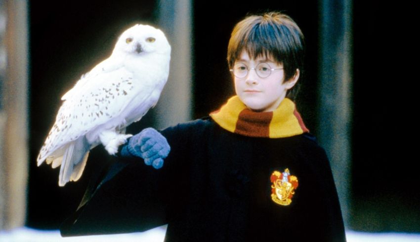 Harry potter and the owl.