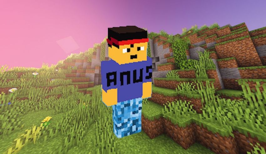 An image of a minecraft character standing in a field.