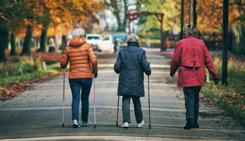 Three elderly women are walking down a street in autumn.