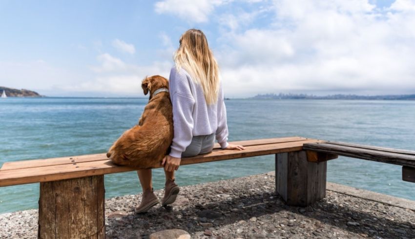 A woman is sitting on a bench with her dog.