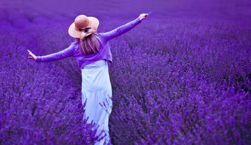 A woman in a lavender field with her arms outstretched.
