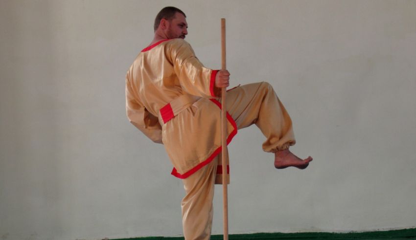 A man is doing a tai chi stance with a pole.